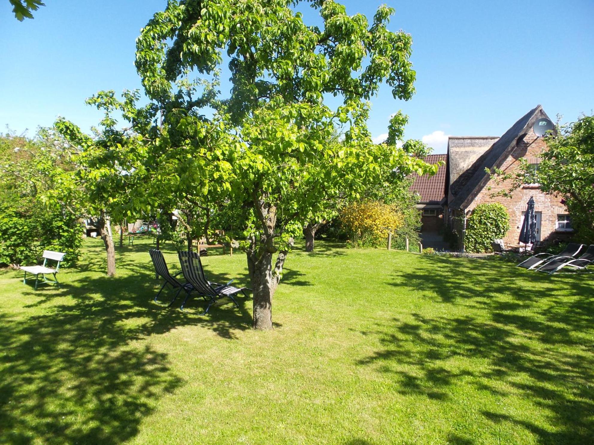 Ferienhaus Fischerhaus Seedorf  ภายนอก รูปภาพ